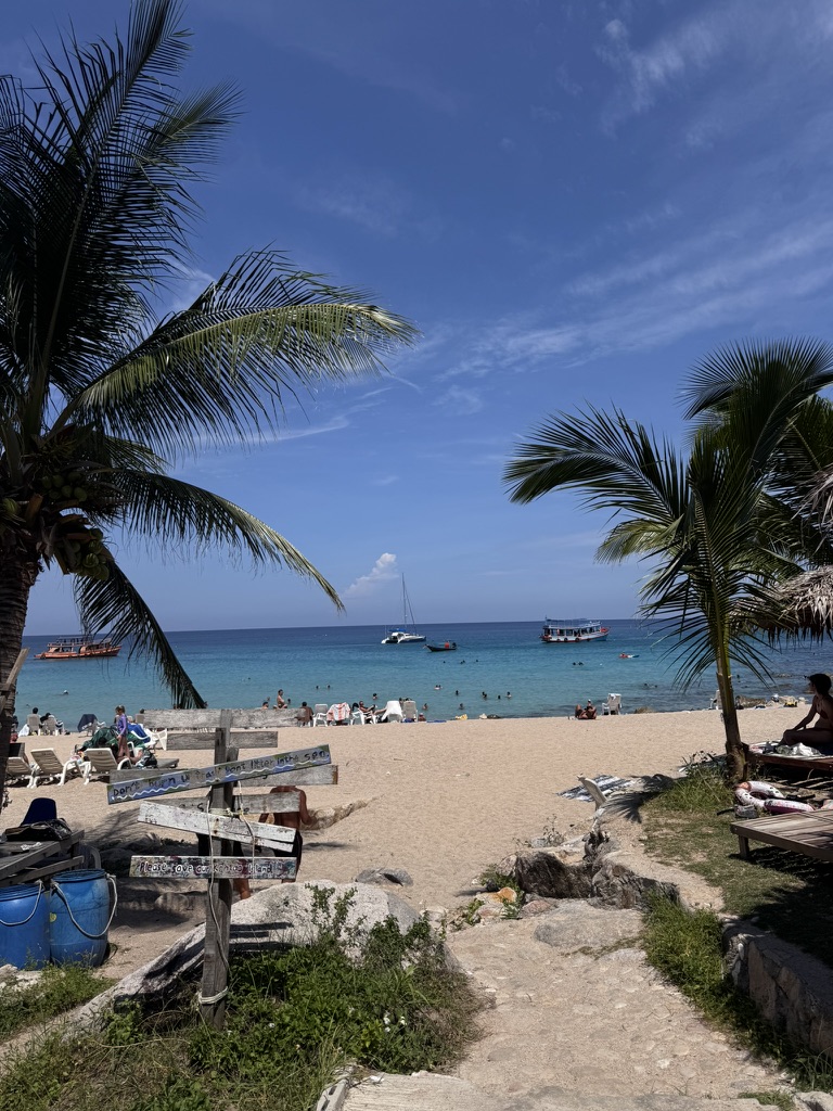 Palmbomen strand Indonesie