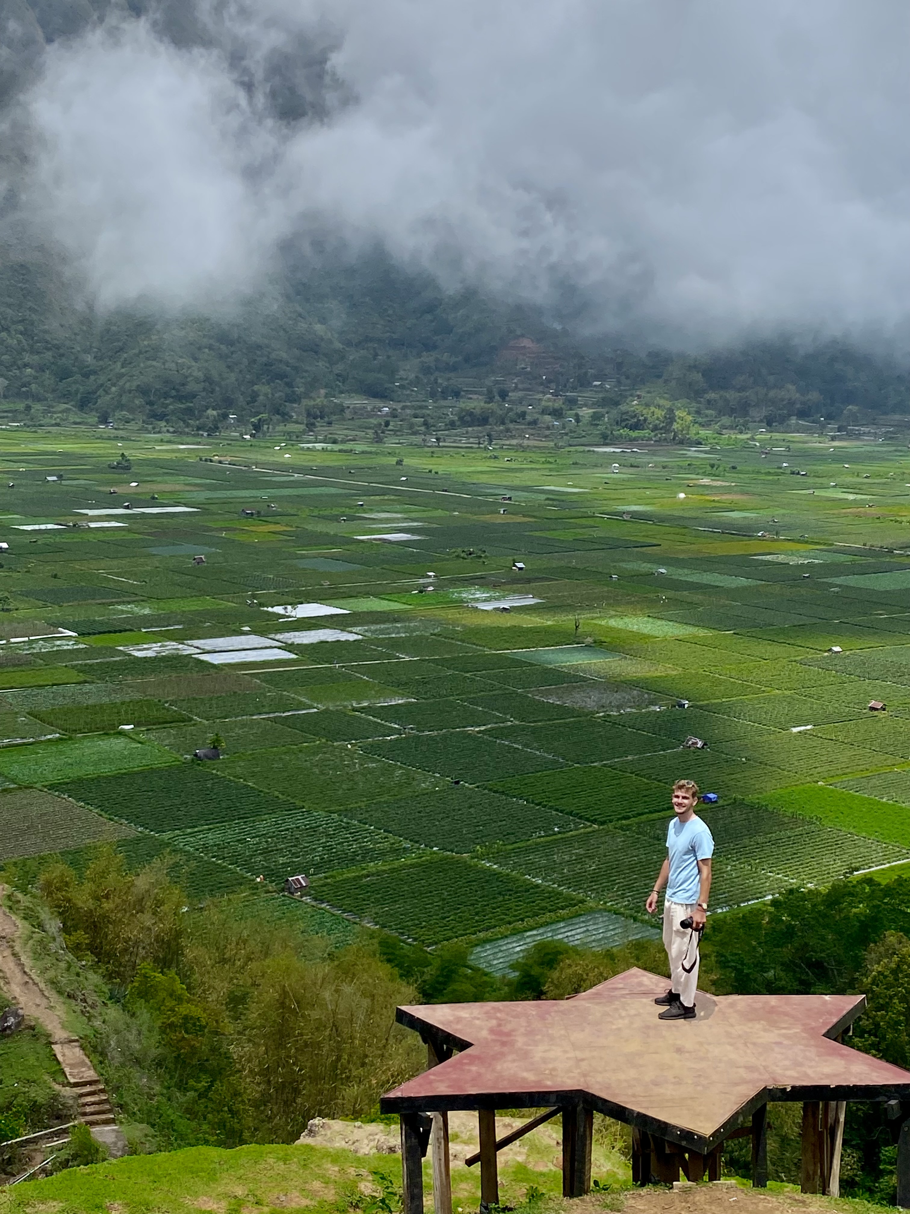 Lombok rijstvelden
